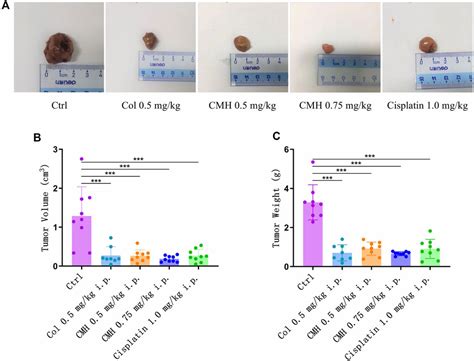 Frontiers Design Synthesis And Biological Evaluation Of A Novel