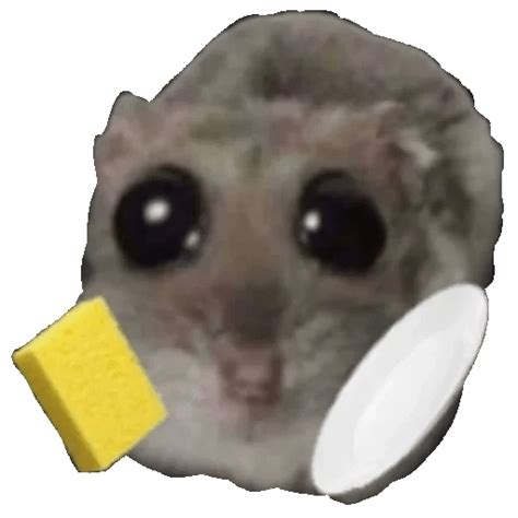 Ratoncito Cute Memes