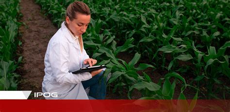 Tecnologia no Agronegócio tendências e importância