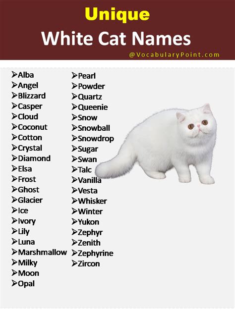 150+ Unique Cat Names in English (Black, Gray And Kitten) - Vocabulary ...