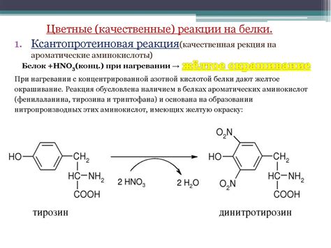 Аминокислоты. Классификация аминокислот - презентация онлайн