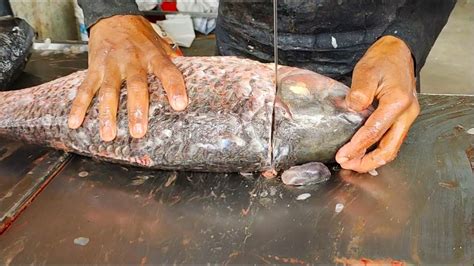 Amazing Fish Cutting Skills L Rohu Fish Fast Cutting By Machine In