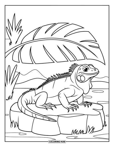 reptile coloring pages 3
