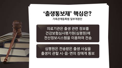 정치 출생통보제 법사위 소위 통과미등록 영아 방지 Ytn