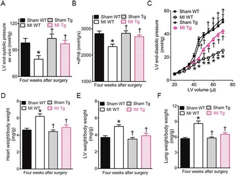 GTP Cyclohydrolase 1 GCH1 Overexpression Improves Cardiac Function 4