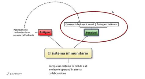 Sistema Immunitario Riassunto E Schema Per Il Test Di Medicina