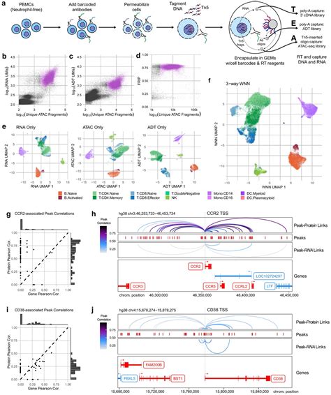 Tea Seq Simultaneous Trimodal Single Cell Measurement Of Transcripts