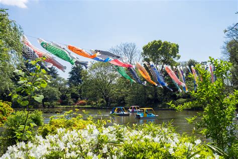 Kodomo No Hi: A Guide To Children's Day In Japan - Savvy Tokyo