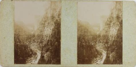 Stereo Artistic Mountains Forest Nature Photos Amateur Vintage Citrate Ebay