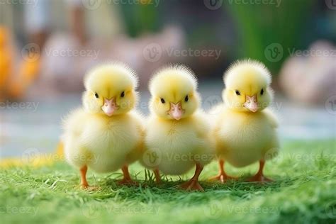 Cute fluffy duckling on green grass outdoors. Generative AI 28290437 Stock Photo at Vecteezy