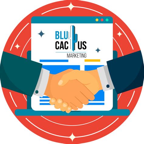 Blucactus Por Qu El Seo Es Importante Para Mi Sitio Web Construya