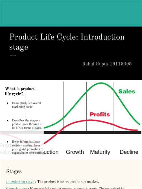 Product Life Cycle Introduction Stage Pdf