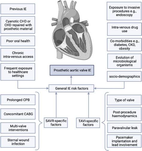 Infective Endocarditis In Transcatheter And Surgical Aortic Valve