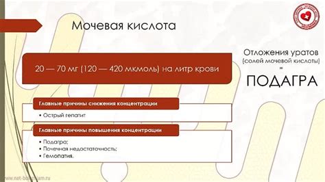 Содержание мочевой кислоты в крови: норма и причины снижения/повышения ...