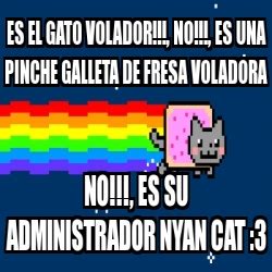 Meme Personalizado Es El Gato Volador No Es Una Pinche