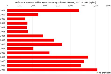 Amazon deforestation in Brazil booms in August