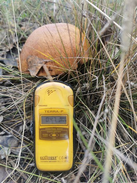 Dozimetras TERRA -P - Praeities Žvalgas