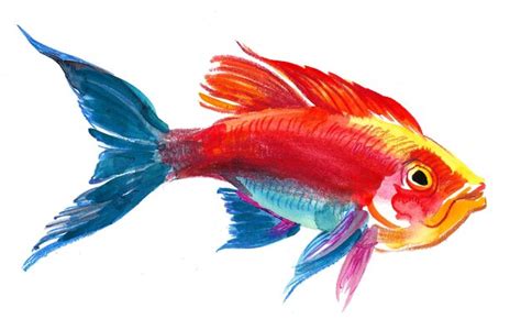 Premium Photo | Colorful tropical fish. ink and watercolor drawing