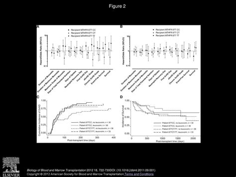 The Effect Of Folinic Acid On Methylenetetrahydrofolate Reductase