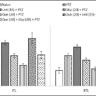 The Modulatory Potent Effect Of Lamotrigine And Gabapentin On The