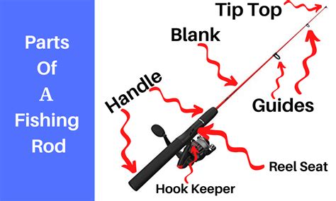 Fishing Rod Diagram