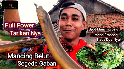 Full Power Tarikan Nya Mancing Belut Segede Gaban Belut Super Besar