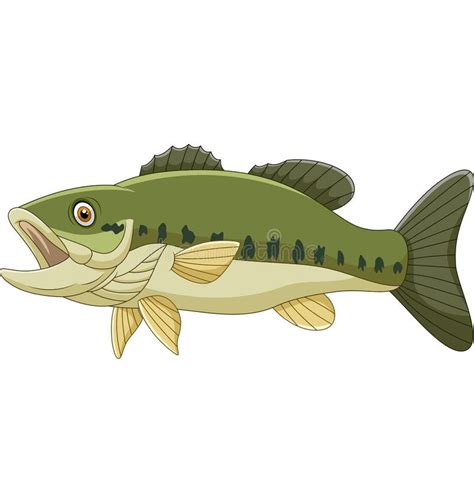 Cartoon Bass Fish Isolated On White Background Ilustracja Wektor