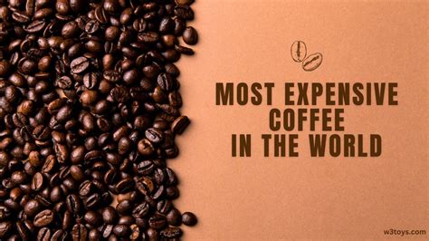 The 3 Most Expensive Coffee In The World 2023 W3toys