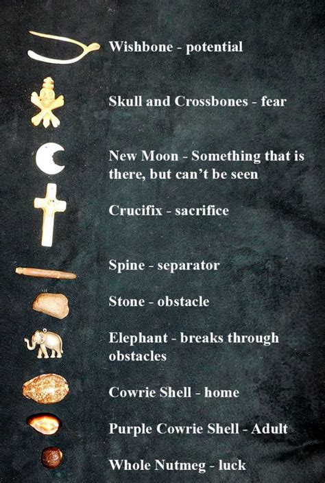 bone reading sample  january  bones shells  curios