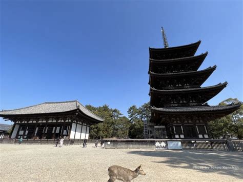 nara nara travel guide tokyokenchan