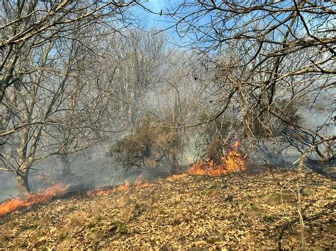 Quasi Spento L Incendio Nei Boschi Di Varazze Dopo La Notte Le Ultime