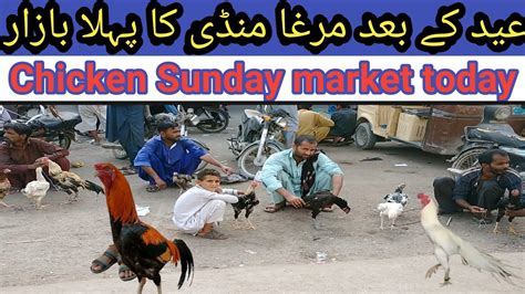 Aseel Murga Mandi Aseel Chicken Market Weathered On Sunday July 2