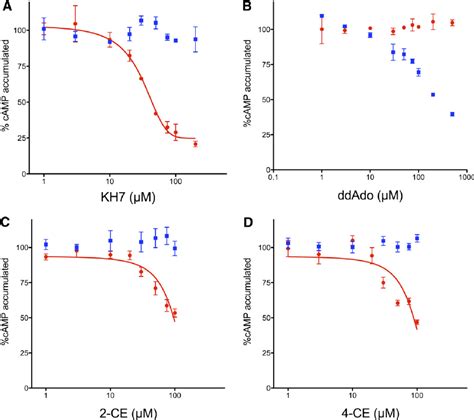 Inhibition of sAC and tmACs in intact cells. Cellular cAMP accumulation ... 