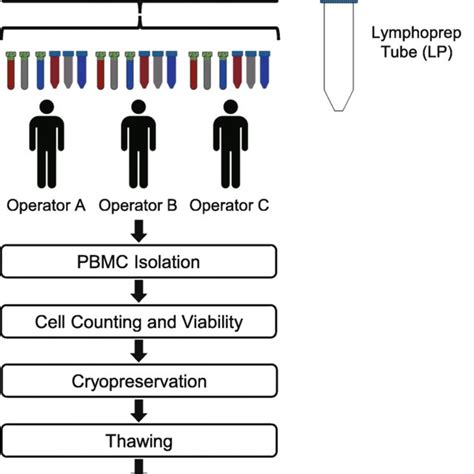 Schematic Of The Pbmc Sample Collection And Processing Six Aliquots Of Download Scientific