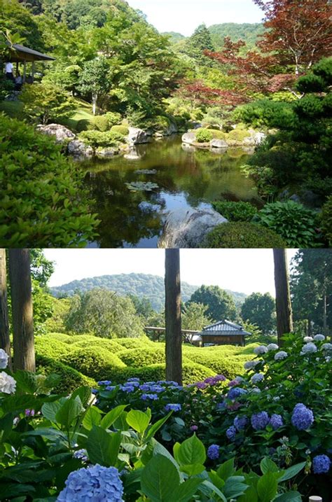 Mimuroto Temple Exploring The Famous Hydrangea Garden In Kyoto Japan