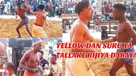 Damben Katsina Yazo Da Sabon Salo Dan Bichi Da Yellow Dansuru Bahago Na