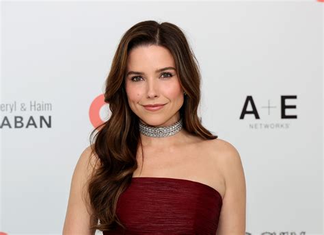 Sophia Bush Echtgenoot 2024 Sophia Bush & Chris Carmack To Star In