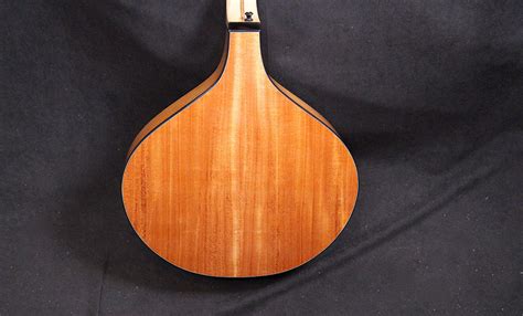 Paramount Guitars Unique Handmade Guitars Nyberg Irish Bouzouki