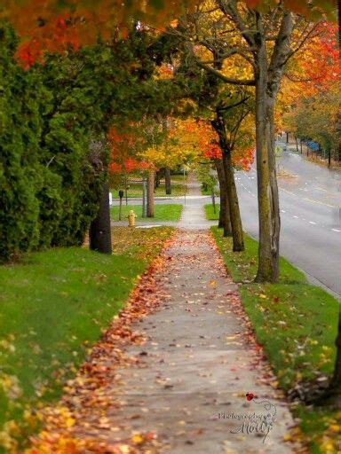 Fall Sidewalk Beauty Autumn Aesthetic Time Of The Year Nature Scenes