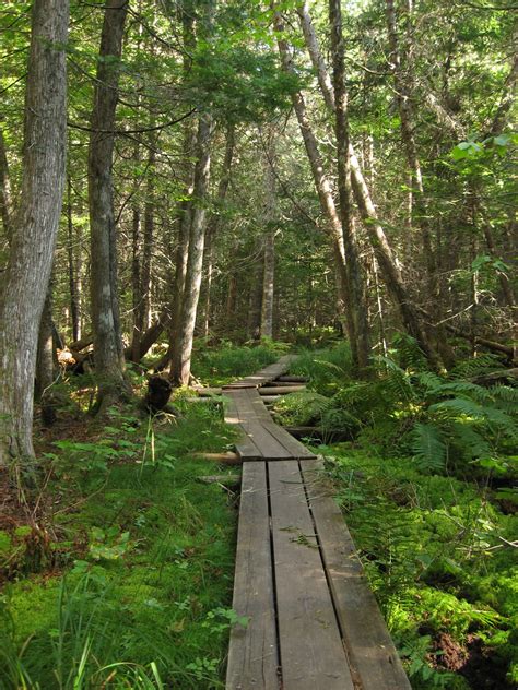 NB Hikes Mactaquac Provincial Park