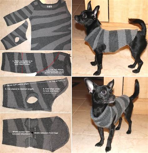 Creative Ideas - DIY Dog Sweater from Old Sweater Sleeve