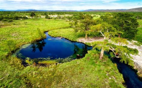 Manantial Los Peroles México Ruta Mágica