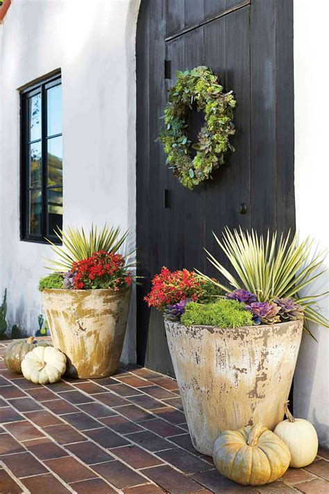 35 Fall Container Gardening Ideas