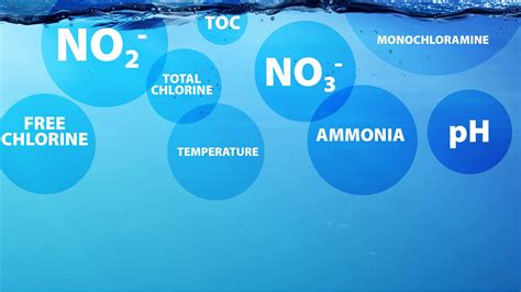 Detect Nitrification In The Distribution System With Speed And Confidence