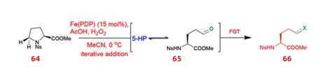 Chemical Synthesis Of Unnatural Amino Acids QYAOBIO