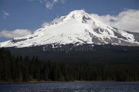 Mt Capo Motor Y Lago Oregon Trillium Foto De Archivo Imagen De Lago