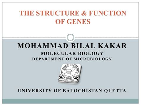 The structure & function of genes | PPT