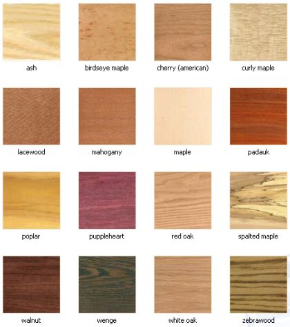 Types Of Guitar Wood: What Is The Best Wood For Guitars?