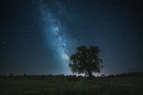 10,000+ Best Shooting Stars Photos · 100% Free Download · Pexels Stock ...