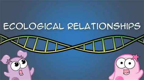 The Amoeba Sisters Ecological Relationships